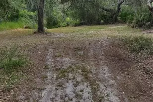 30500 34 Ave E, Myakka City, FL 34251 - Photo 59