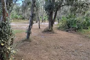 30500 34 Ave E, Myakka City, FL 34251 - Photo 31