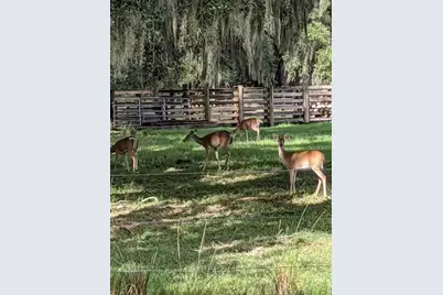 30500 34th Avenue E, Myakka City, FL 34251 - Photo 31