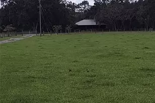 30500 34 Ave E, Myakka City, FL 34251 - Photo 3