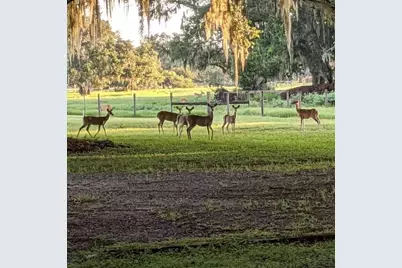 30500 34th Avenue E, Myakka City, FL 34251 - Photo 29