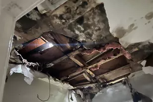 4421 Leila Ave, Tampa, FL 33616 - Photo 21