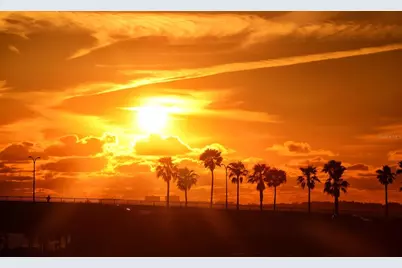 707 S Gulfstream Avenue #604, Sarasota, FL 34236 - Photo 65