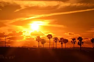 707 S Gulfstream Ave, Sarasota, FL 34236 - Photo 65