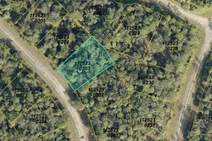 1125230203 Fafton St, North Port, FL 34288 - Photo 1