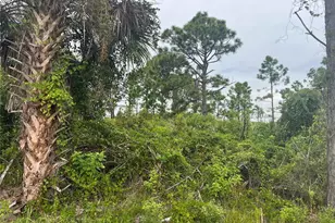 8185 Dimstead St, Port Charlotte, FL 33981 - Photo 1