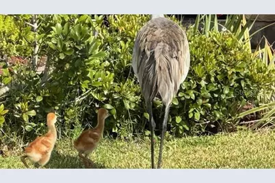 5616 107th Terrace E, Parrish, FL 34219 - Photo 31