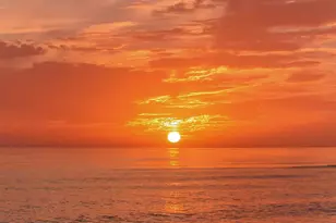 555 The Esplanade N, Venice, FL 34285 - Photo 57