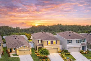 5206 Willow Breeze Wy, Palmetto, FL 34221 - Photo 1