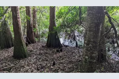 Dorsey Drive - Lot 10 &11, New Port Richey, FL 34654 - Photo 5