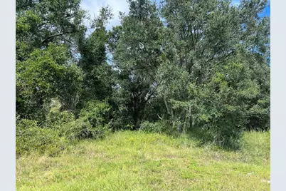 5425 NW Oak Hill Avenue, Arcadia, FL 34266 - Photo 1