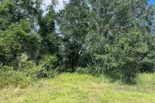 5425 NW Oak Hill Ave, Arcadia, FL 34266 - Photo 1