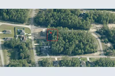 Tbd SW 139th Parcel 2, Ocala, FL 34473 - Photo 3