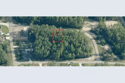 Tbd SW 139th Parcel 4, Ocala, FL 34473 - Photo 3