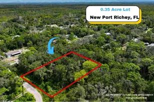 13016 Catalona Ave, New Port Richey, FL 34654 - Photo 1