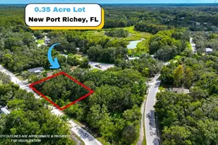 Tbd Fern St, New Port Richey, FL 34654 - Photo 1