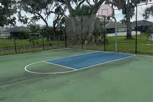 3828 Shimmering Oaks Dr, Parrish, FL 34219 - Photo 25