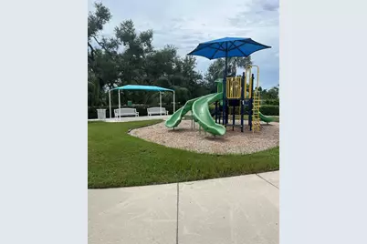 3828 Shimmering Oaks Drive, Parrish, FL 34219 - Photo 23