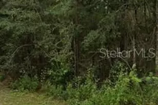 NE 11th St, Williston, FL 32696 - Photo 1