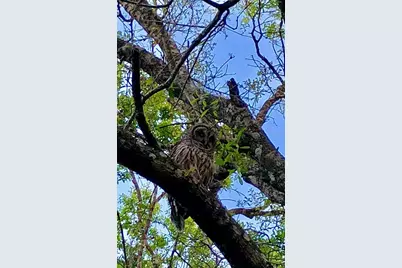 2230 Myakka Road, Sarasota, FL 34240 - Photo 55