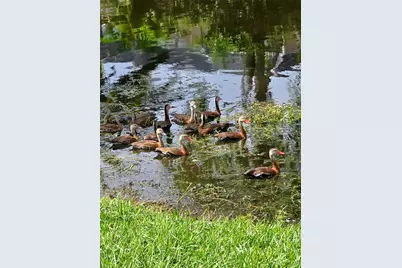 5438 Cartagena Drive, Sarasota, FL 34233 - Photo 59