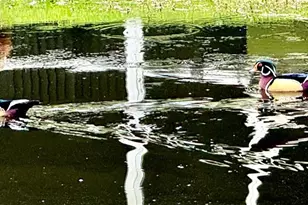 5438 Cartagena Dr, Sarasota, FL 34233 - Photo 53