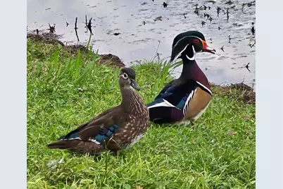 5438 Cartagena Drive, Sarasota, FL 34233 - Photo 55