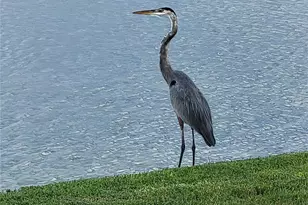 1130 Villagio Cir, Sarasota, FL 34237 - Photo 41