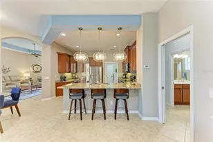 15918 31st St E, Parrish, FL 34219 - Photo 23