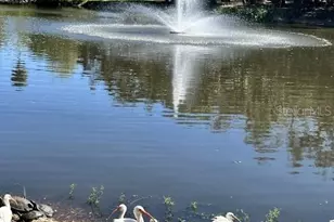 2906 Arlington St, Sarasota, FL 34239 - Photo 21