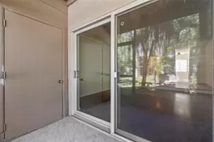 7505 Pitch Pine Cir, Tampa, FL 33617 - Photo 23