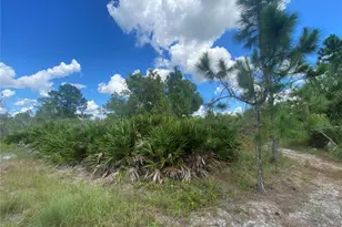 2808 45th St W, Lehigh Acres, FL 33971 - Photo 1