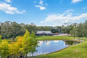 14690 Mossy Hammock Ln, Myakka City, FL 34251 - Photo 1