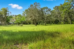 16736 Dalberg Dr, Spring Hill, FL 34610 - Photo 33