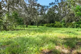 16736 Dalberg Dr, Spring Hill, FL 34610 - Photo 29