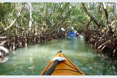 1212 Benjamin Franklin Drive #305, Sarasota, FL 34236 - Photo 45