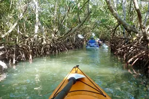 1212 Benjamin Franklin Dr, Sarasota, FL 34236 - Photo 45