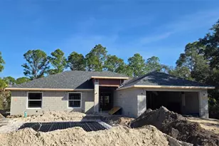 3632 Crittendon St, North Port, FL 34286 - Photo 1