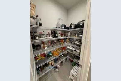 19415 Monarch Wind Way, Lutz, FL 33558 - Photo 21