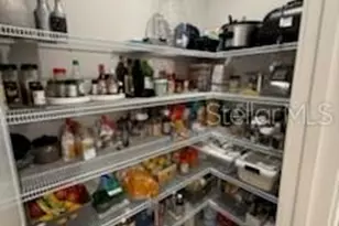 19415 Monarch Wind Way, Lutz, FL 33558 - Photo 21