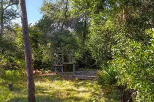 9979 Cherry Hills Ave Cir, Bradenton, FL 34202 - Photo 59