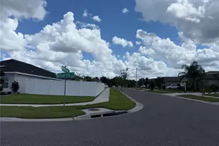 14921 Tropical Violet Wy, Wimauma, FL 33598 - Photo 41