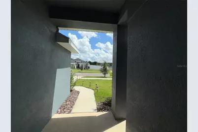 14921 Tropical Violet Way, Wimauma, FL 33598 - Photo 35