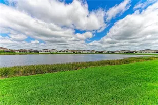 11542 Brighton Knoll Loop, Riverview, FL 33579 - Photo 49