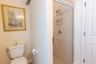 12647 20th St E, Parrish, FL 34219 - Photo 35