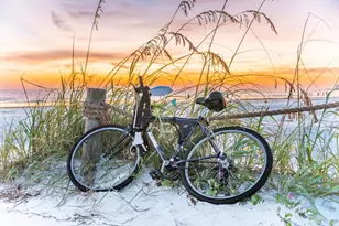 4106 Central Sarasota Pkwy, Sarasota, FL 34238 - Photo 83