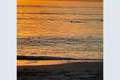 618 Bayport Way Bayport Way #618, Longboat Key, FL 34228 - Photo 43