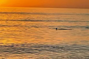 618 Bayport Way Bayport Way, Longboat Key, FL 34228 - Photo 43