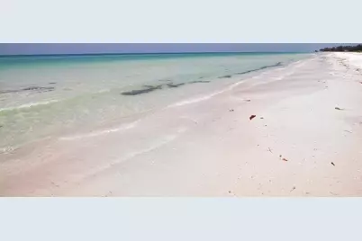 919 65th Street NW, Bradenton, FL 34209 - Photo 47