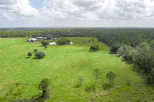 1126 Co Rd 665, Ona, FL 33865 - Photo 57